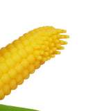 Giveaway: Cute Baby Teether/Toothbrush (Just Pay Shipping)