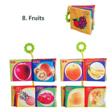 Giveaway: Quality Cloth Books (0-24 months) (Just Pay Shipping)