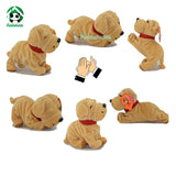 50% OFF+FREE SHIPPING: Sound Control Interactive Pet Dog *Black Friday & Cyber Monday Deal