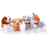 50% OFF+FREE SHIPPING: Sound Control Interactive Pet Dog *Black Friday & Cyber Monday Deal